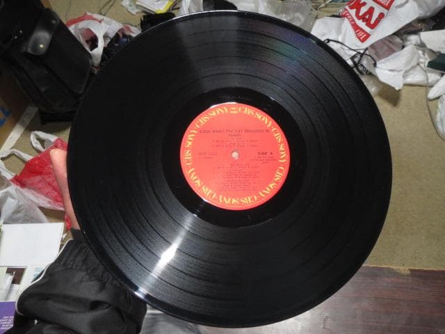 ポイズン「ポイズン・ダメージ」LPレコード 国内盤 帯付