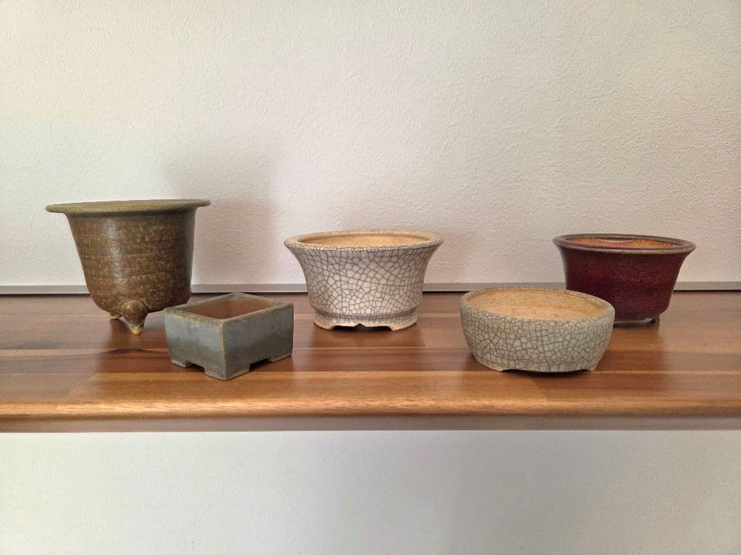美巧　堀江美巧　盆栽鉢　鉢　盆栽　陶器鉢 5点セット