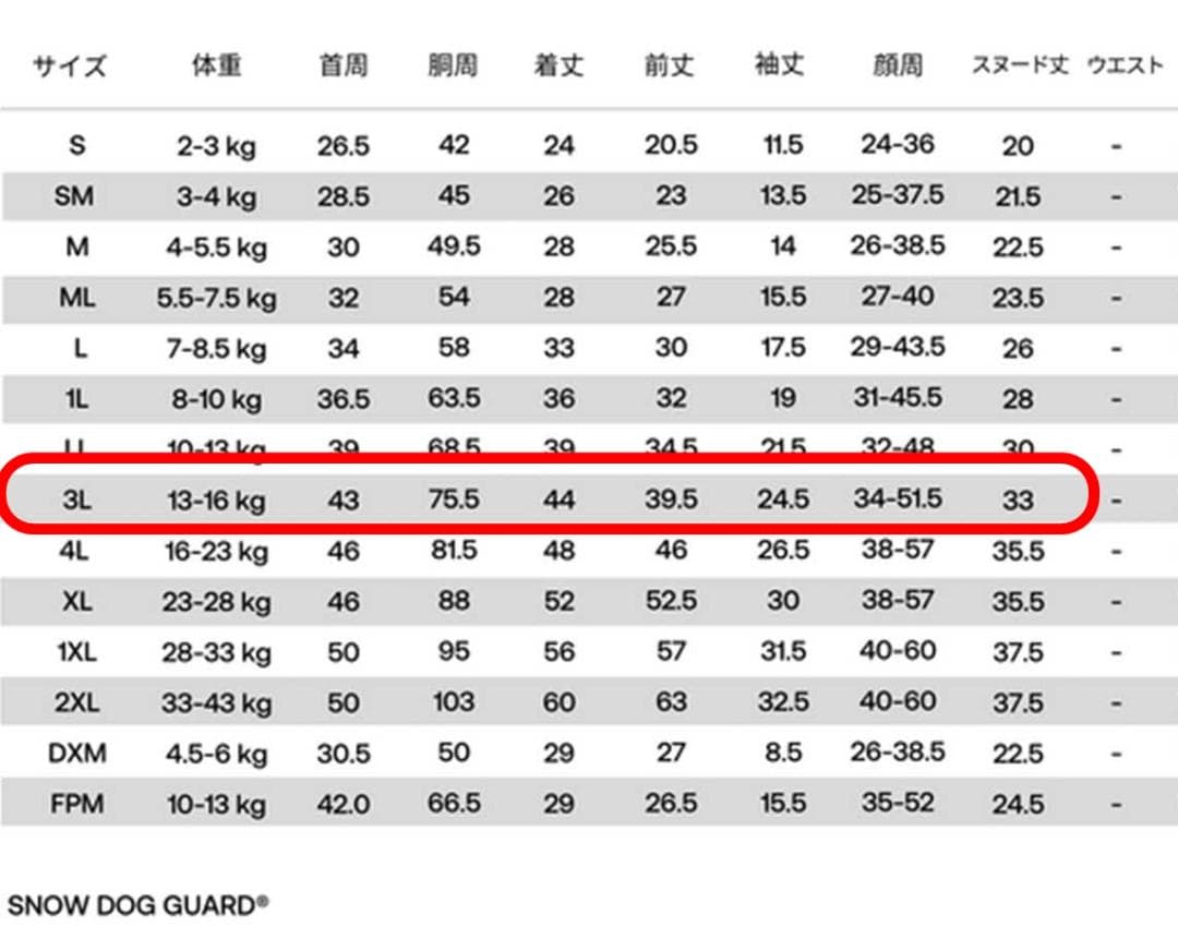 新品　アルファアイコン　スノードッグガード　3L　2024年モデル　ミント