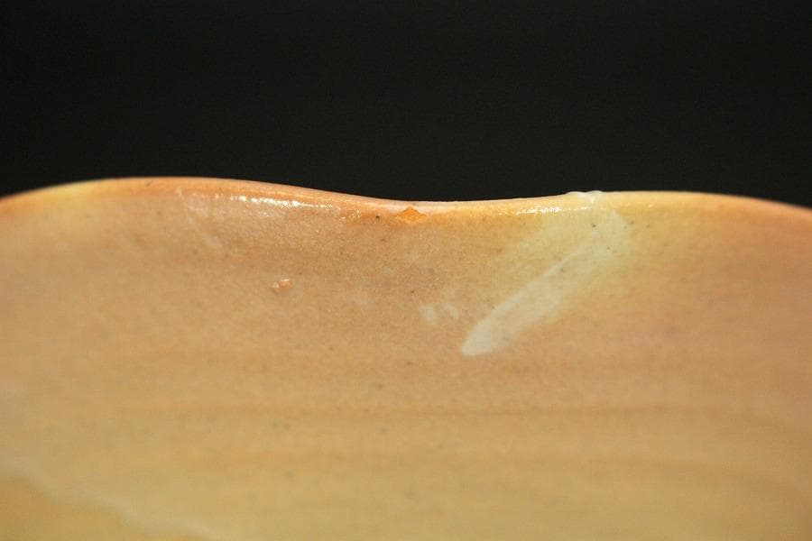 日本芸術院賞受賞 森野嘉光作 御本三角皿 共箱(ZE533)