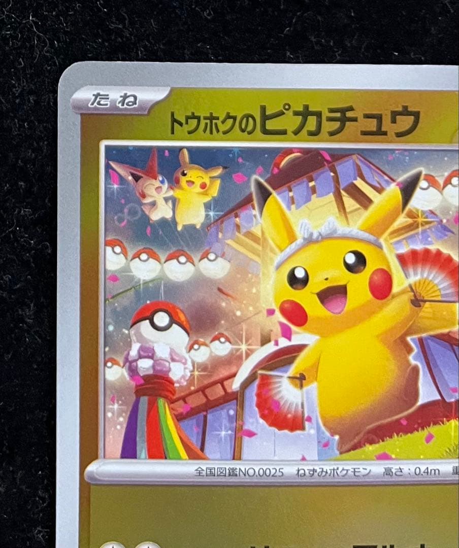トウホクのピカチュウ ③