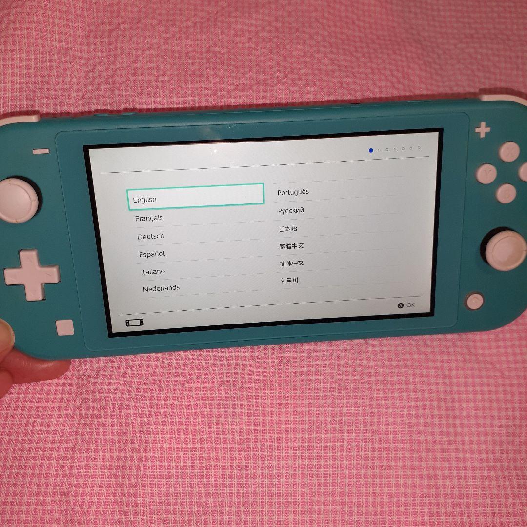ジャンク！Switch Lite 純正ジョイコントローラー オマケソフト付き。