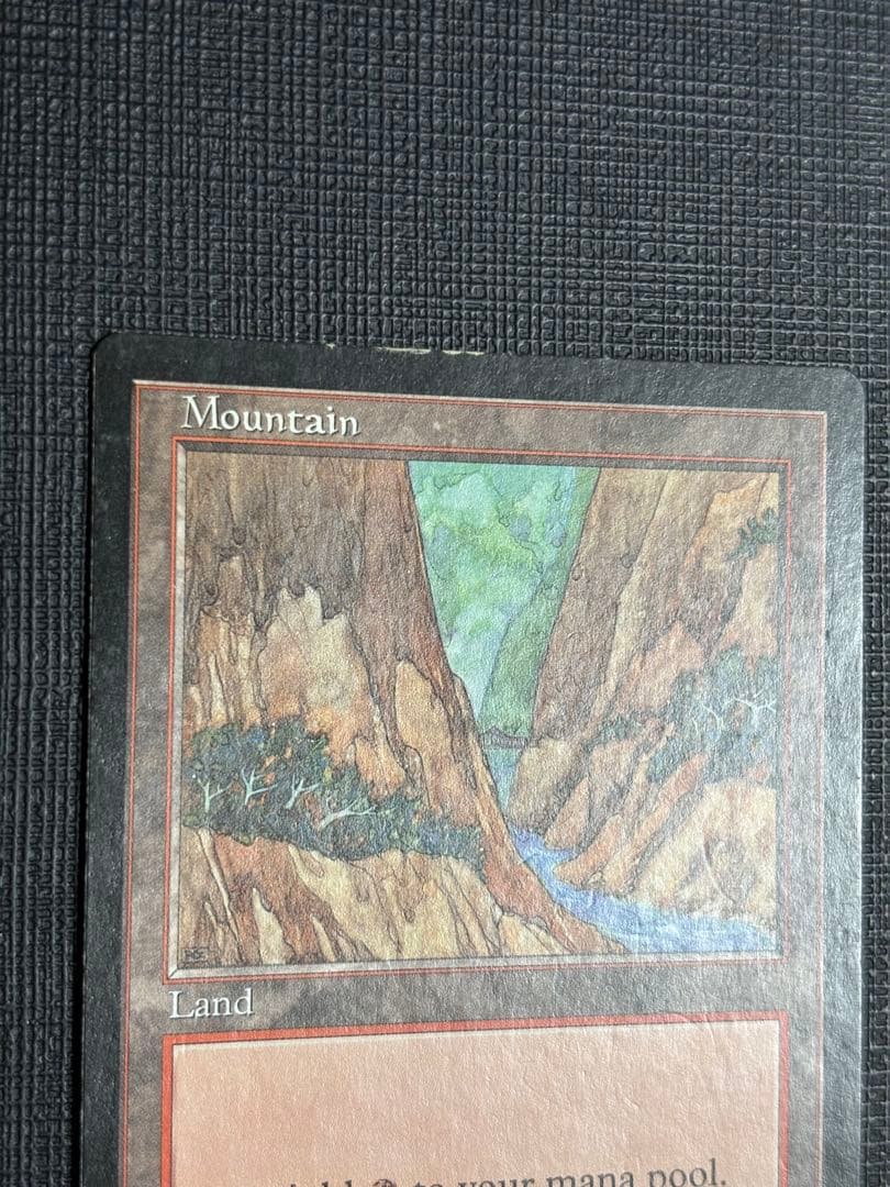 APACランド山25枚