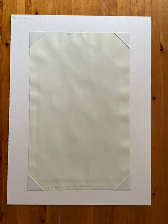 藤浪理恵子 「イカロスの末裔」額装