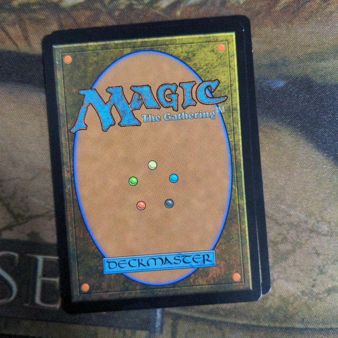 MTG　新緑の地下墓地/Verdant Catacombs　Foil　4枚