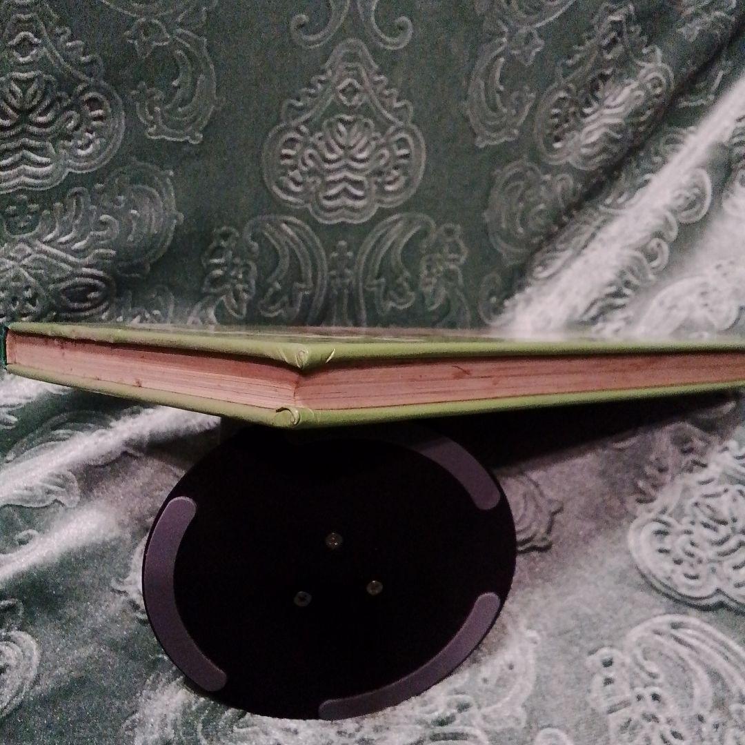 たぬき先生大ぼうけん