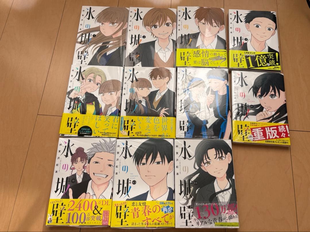 氷の城壁 1-11巻セット / あと3冊で完結！