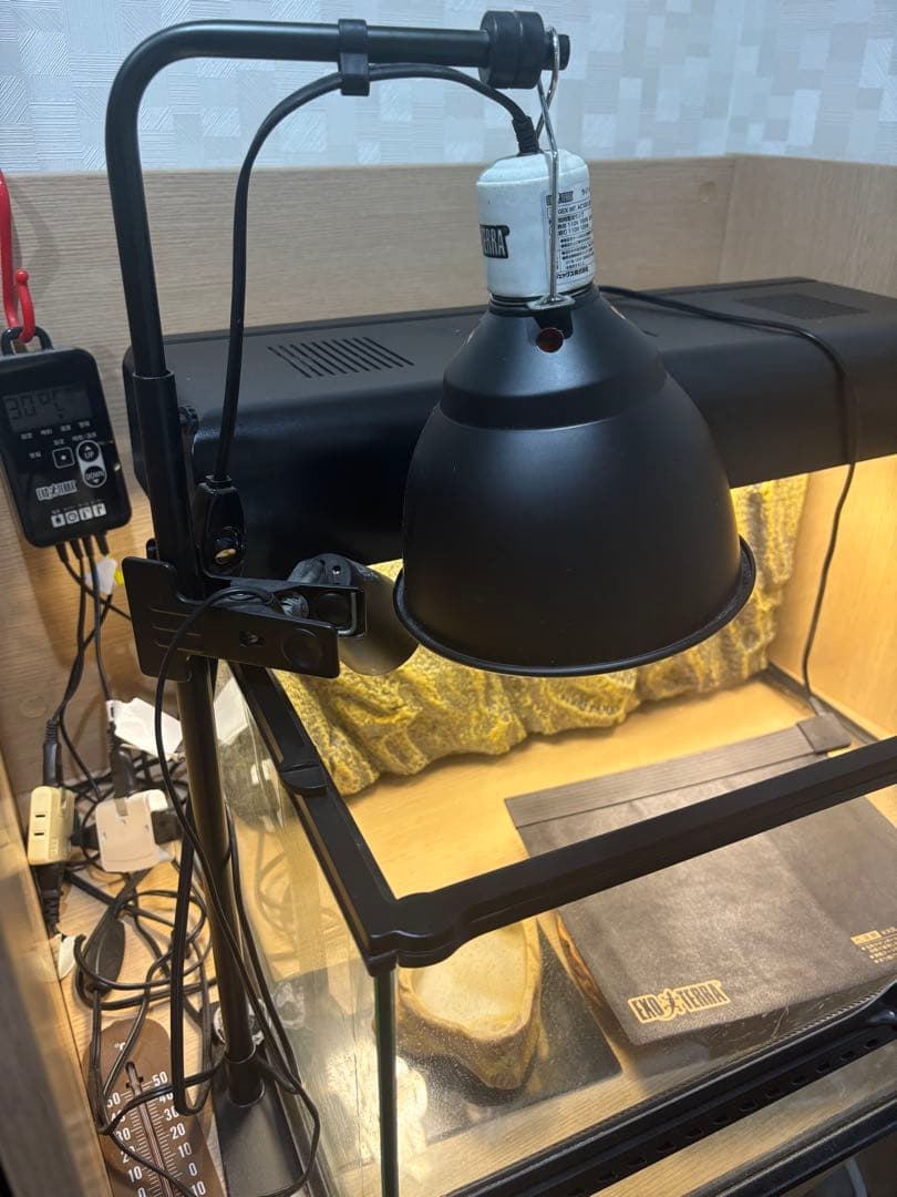 爬虫類飼育セット グラステラリウム6030＋ライト・食器類付き