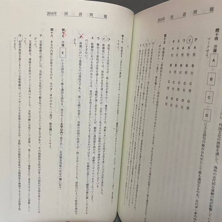 青本　早稲田大学　教育学部　文科系　文系　33年分　駿台予備学校