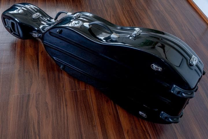 Rani スズキ 4/4サイズ チェロ/弓セット