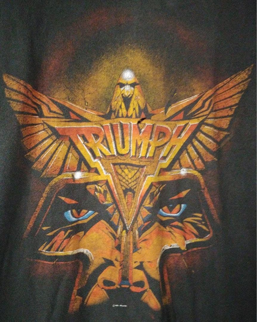 82年製·ビンテージ!TRITMPH “TRITMPH ON TOUR”黒　S