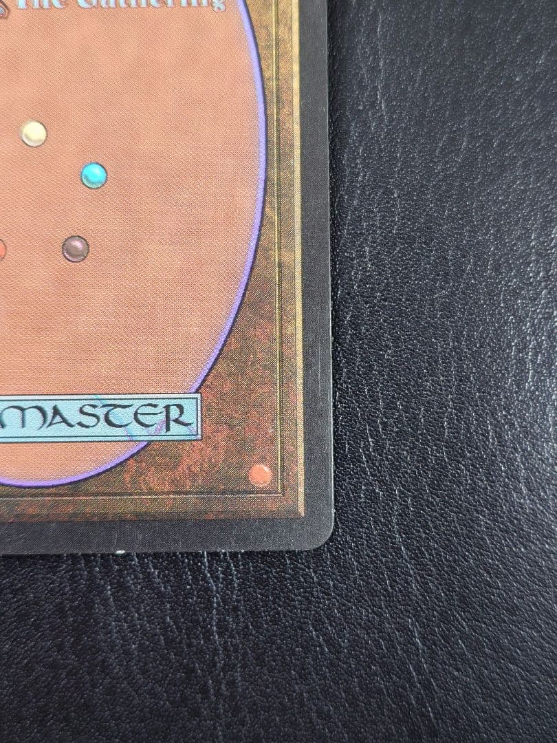 適者生存 エンチャント マジック・ザ・ギャザリング 英語 MTG