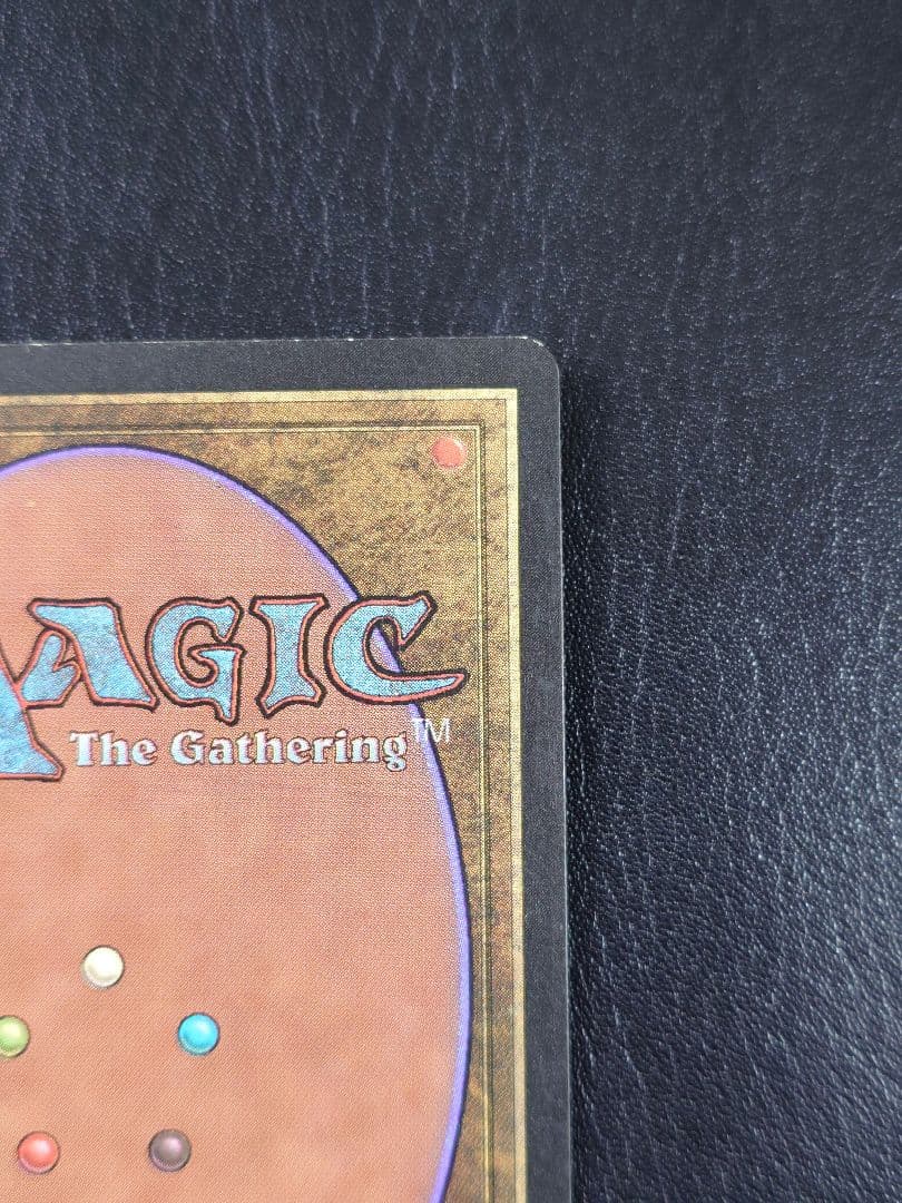 適者生存 エンチャント マジック・ザ・ギャザリング 英語 MTG