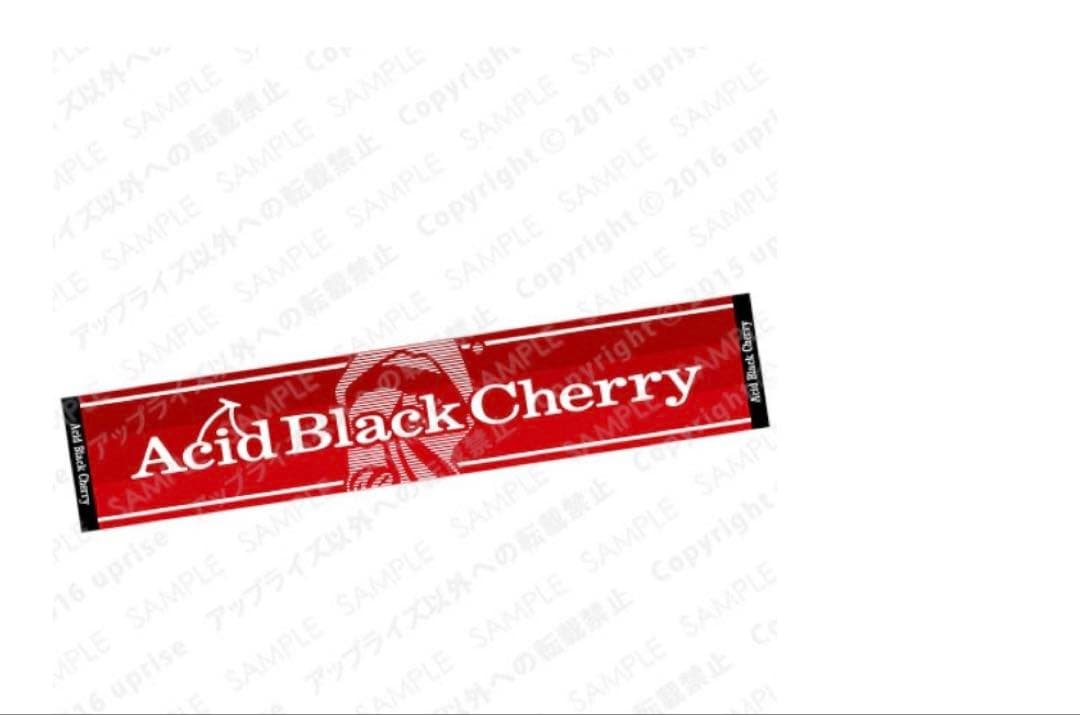 Acid Black Cherry グッズまとめ売り④