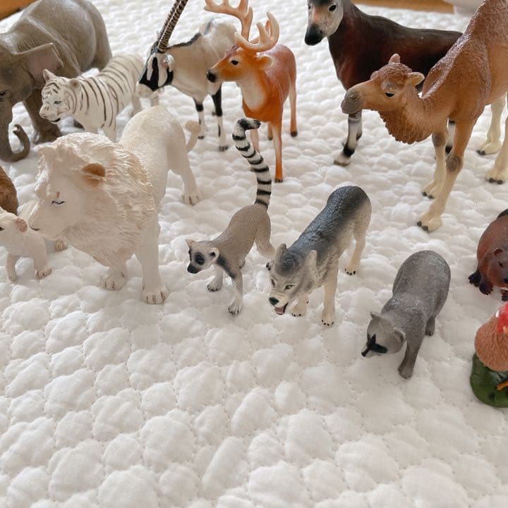 シュライヒ コレクタ 動物 フィギュア セット