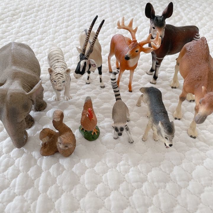 シュライヒ コレクタ 動物 フィギュア セット