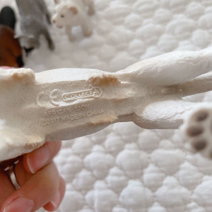 シュライヒ コレクタ 動物 フィギュア セット