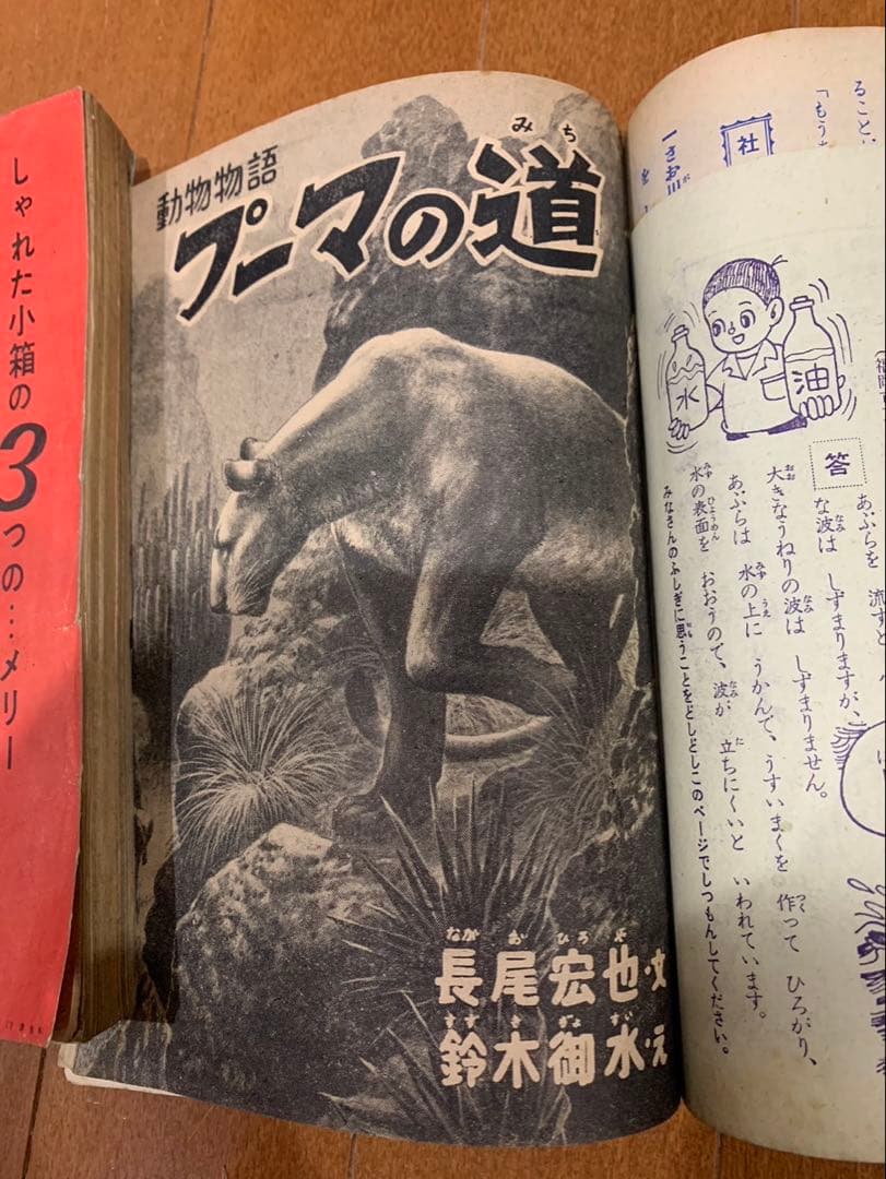 小学3年生 小学4年生　山川惣治 鈴木御水　こうもり小太郎