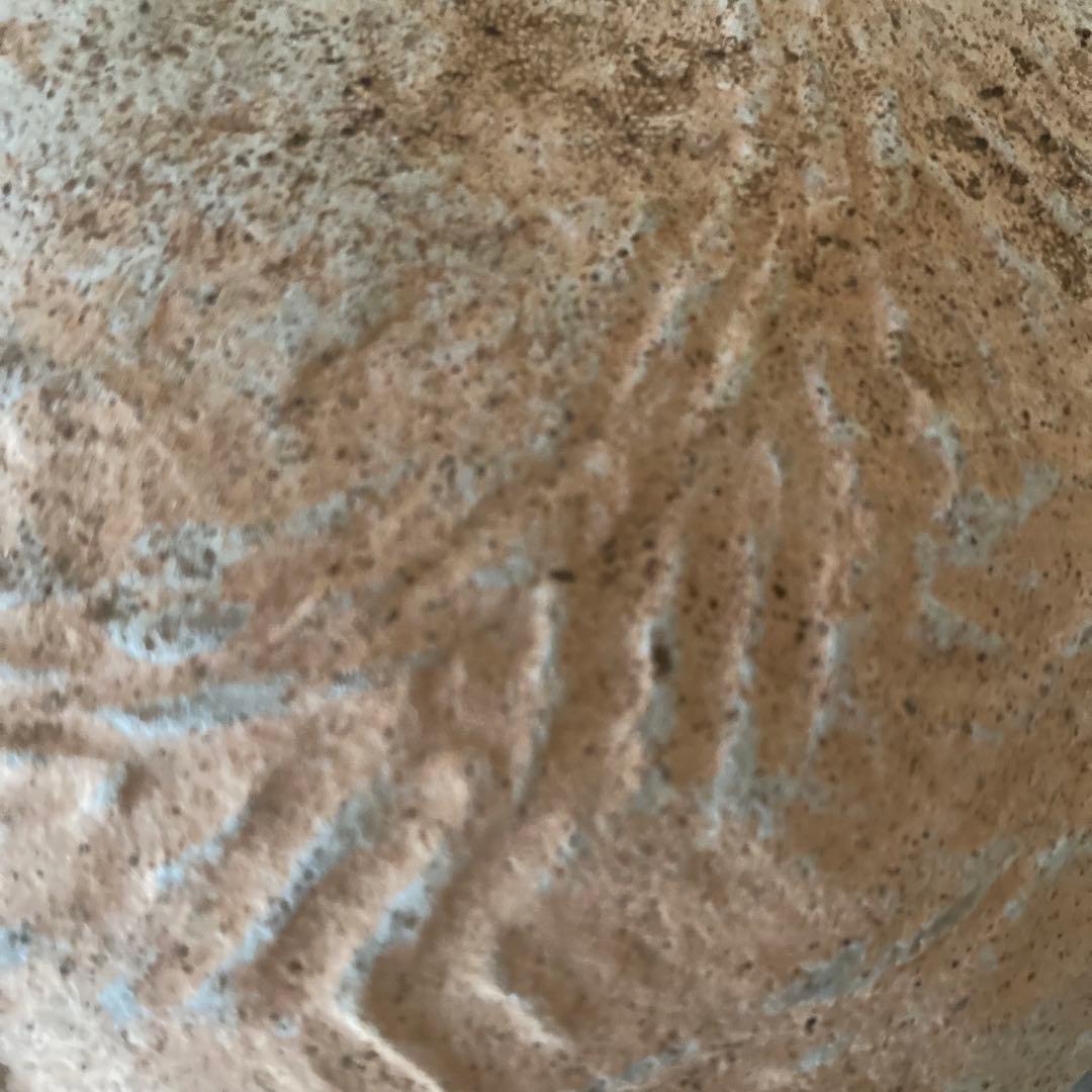 タイ　アユタヤ　埋蔵　発掘　出土　遺跡　土器　古陶　骨董　古美術　陶器　世界遺産