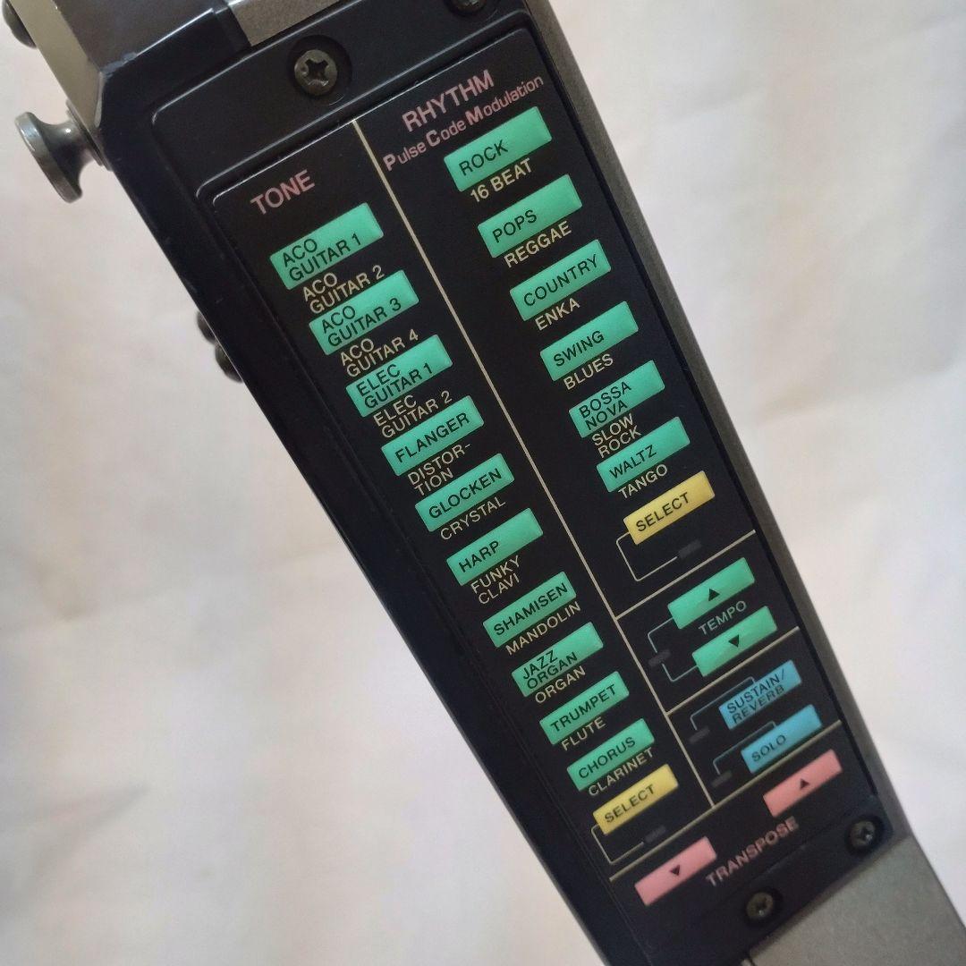 CASIO DG-20 デジタルギター 動作OK！