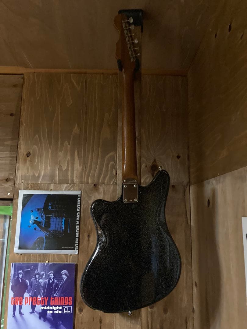 zen-on ZES-220 ビザール