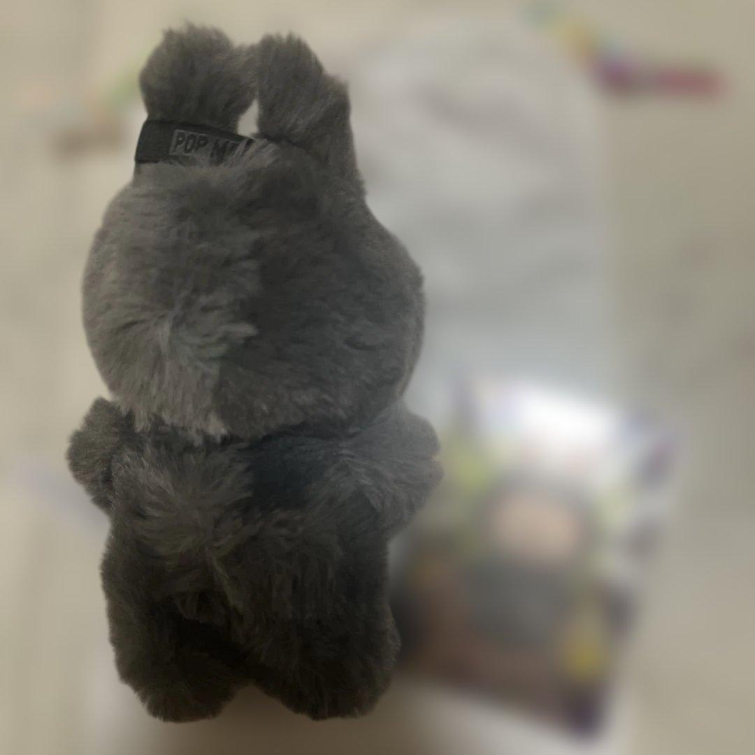 M*K様 【正規品】Labubu Big into Energy ラブブ シーク