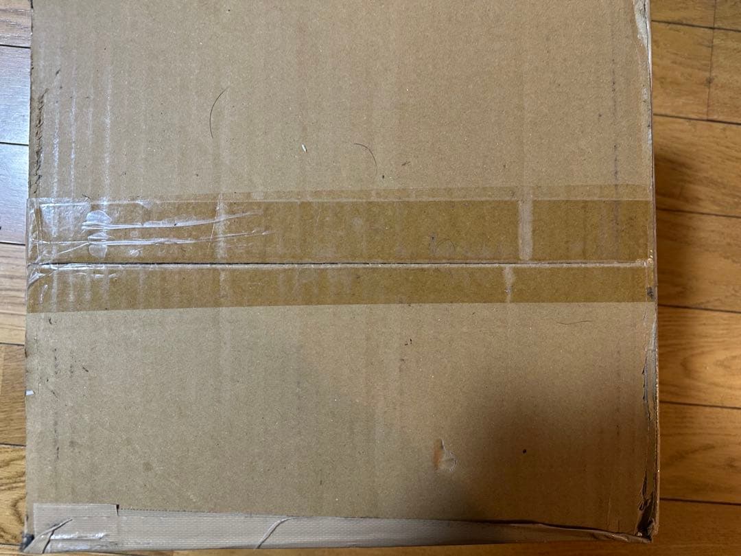 新品 デュエルマスターズ DM25-EX1 愛感謝祭ヒロインBEST 1カートン