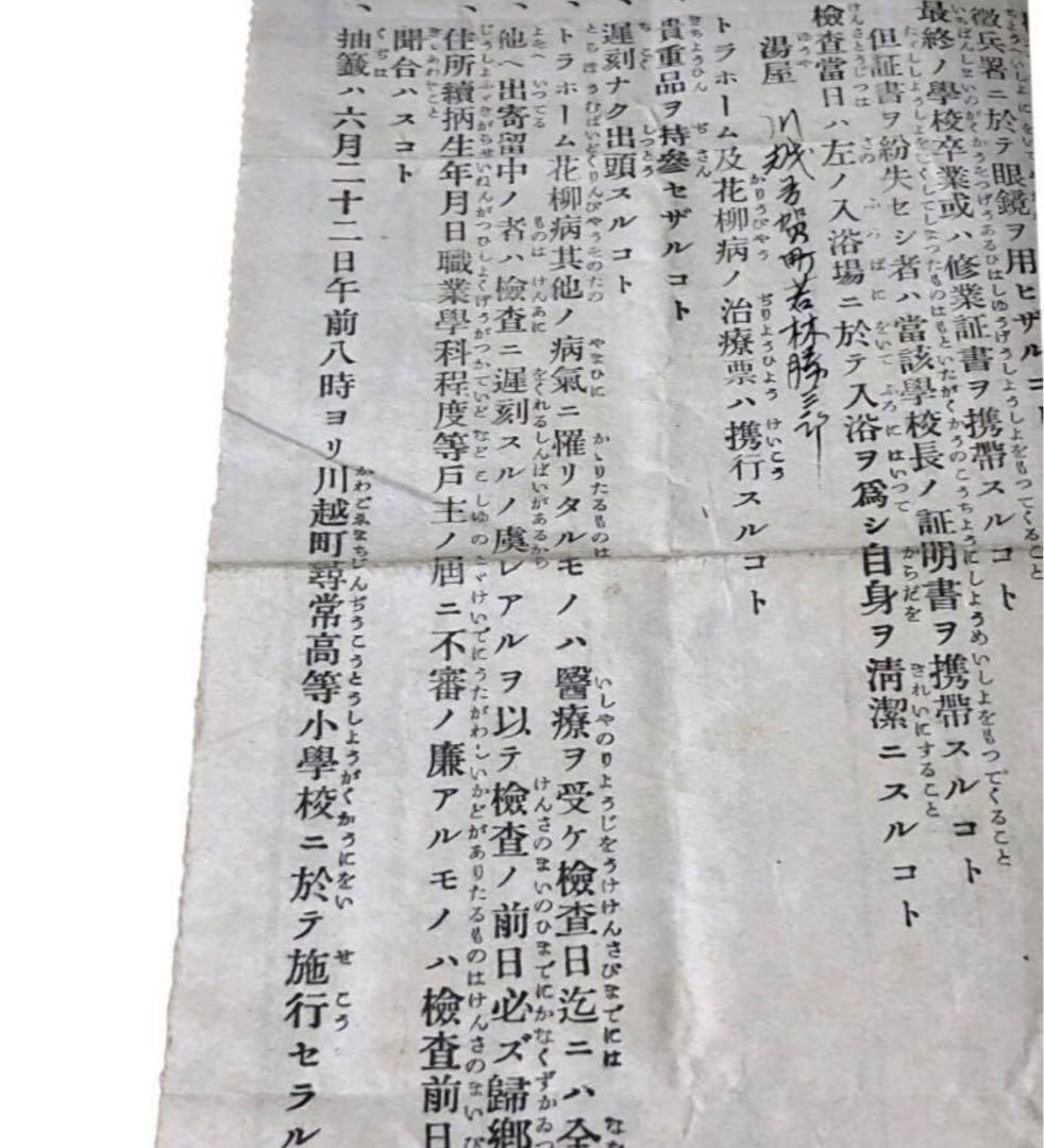 大正八年　徴兵検査日割通達書/旧日本軍　召集　戦時資料