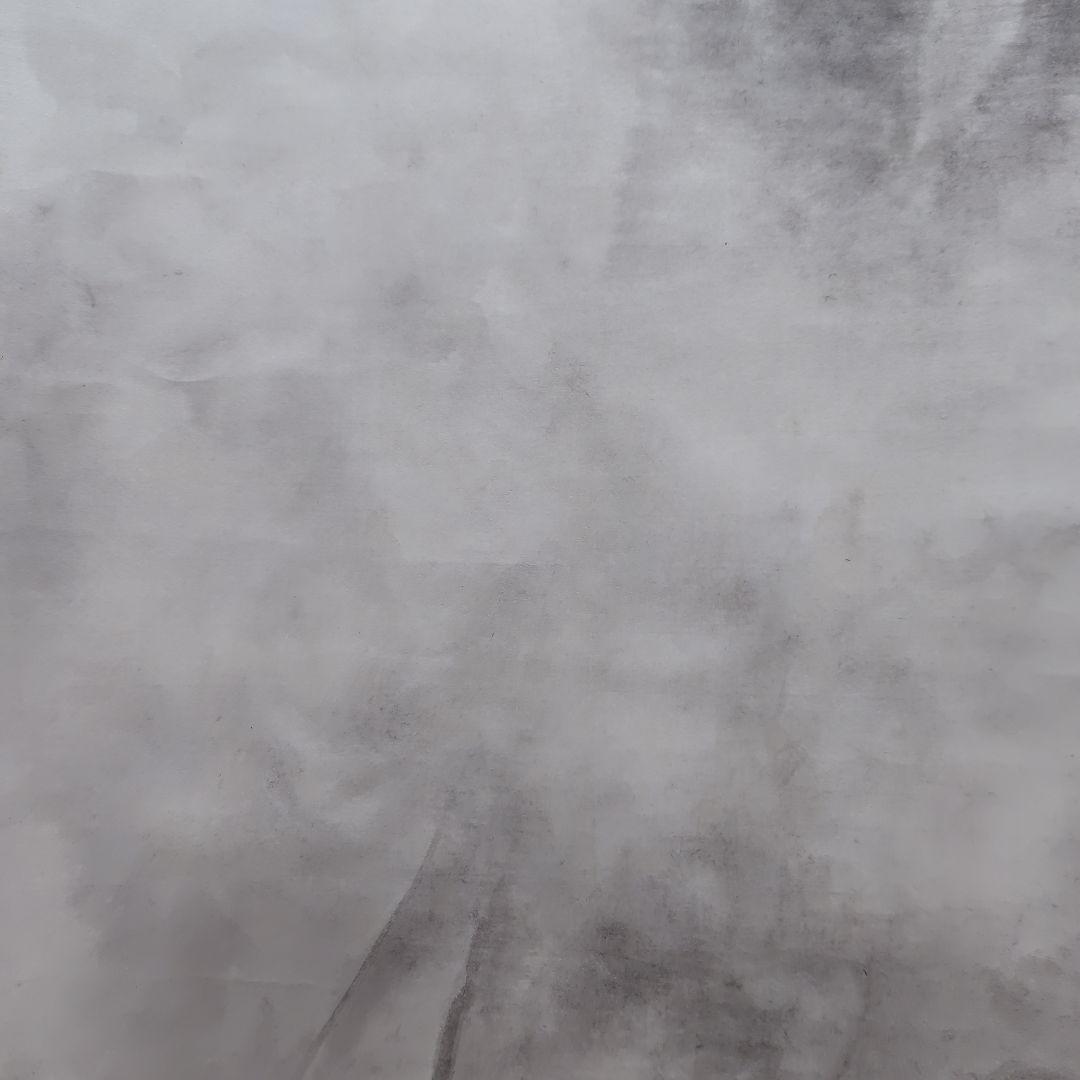 日本画家 吉原芳仙 墨画『ヒマラヤ.雲妙浄し處』絹本/共箱/掛け軸 直筆保証