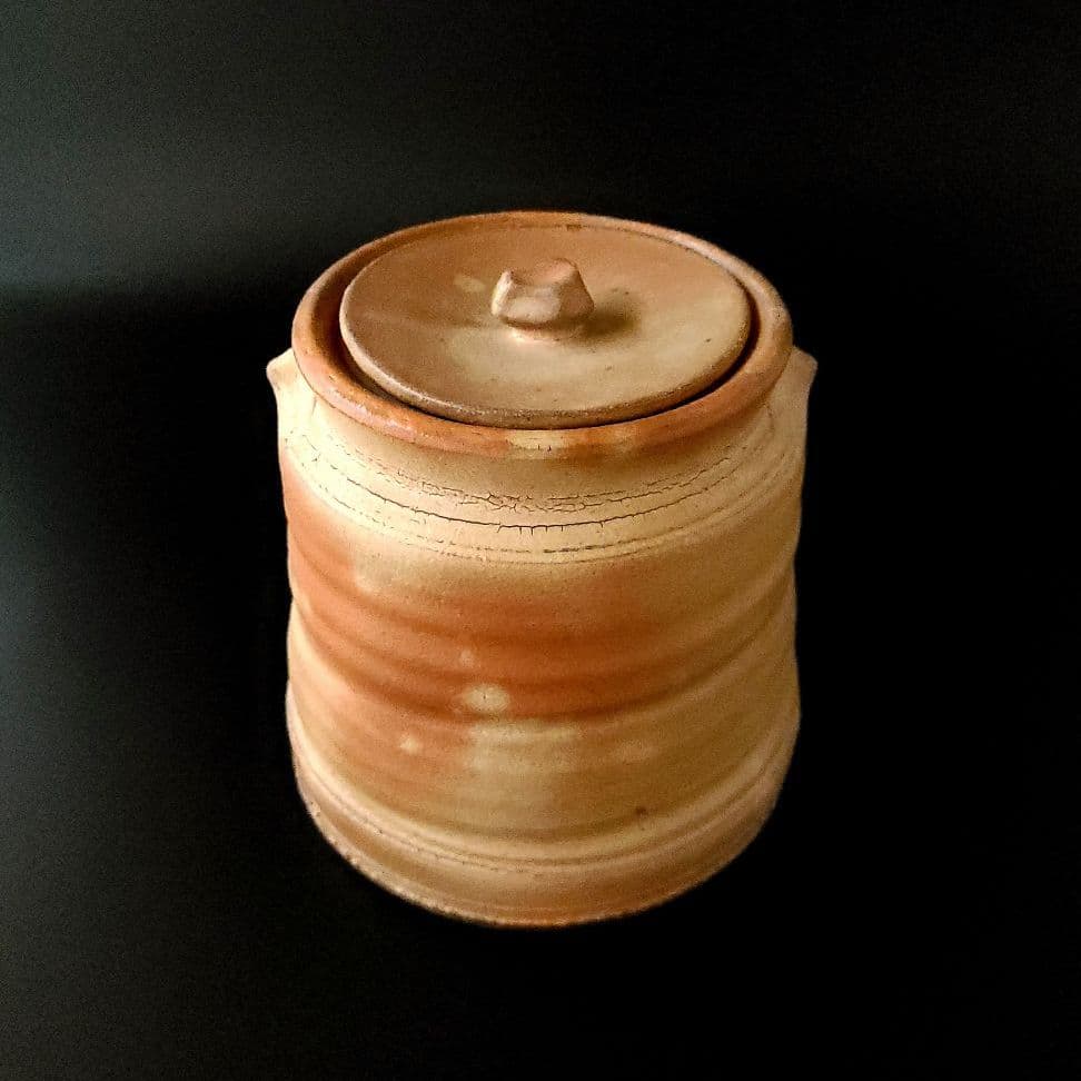 茶道具 水指 塩窯彩 耳付 松尾潤 共箱 武雄市 唐津 現代陶芸 工芸品 茶会