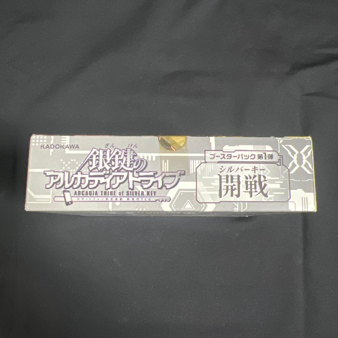 銀鍵のアルカディアトライブ 1BOX