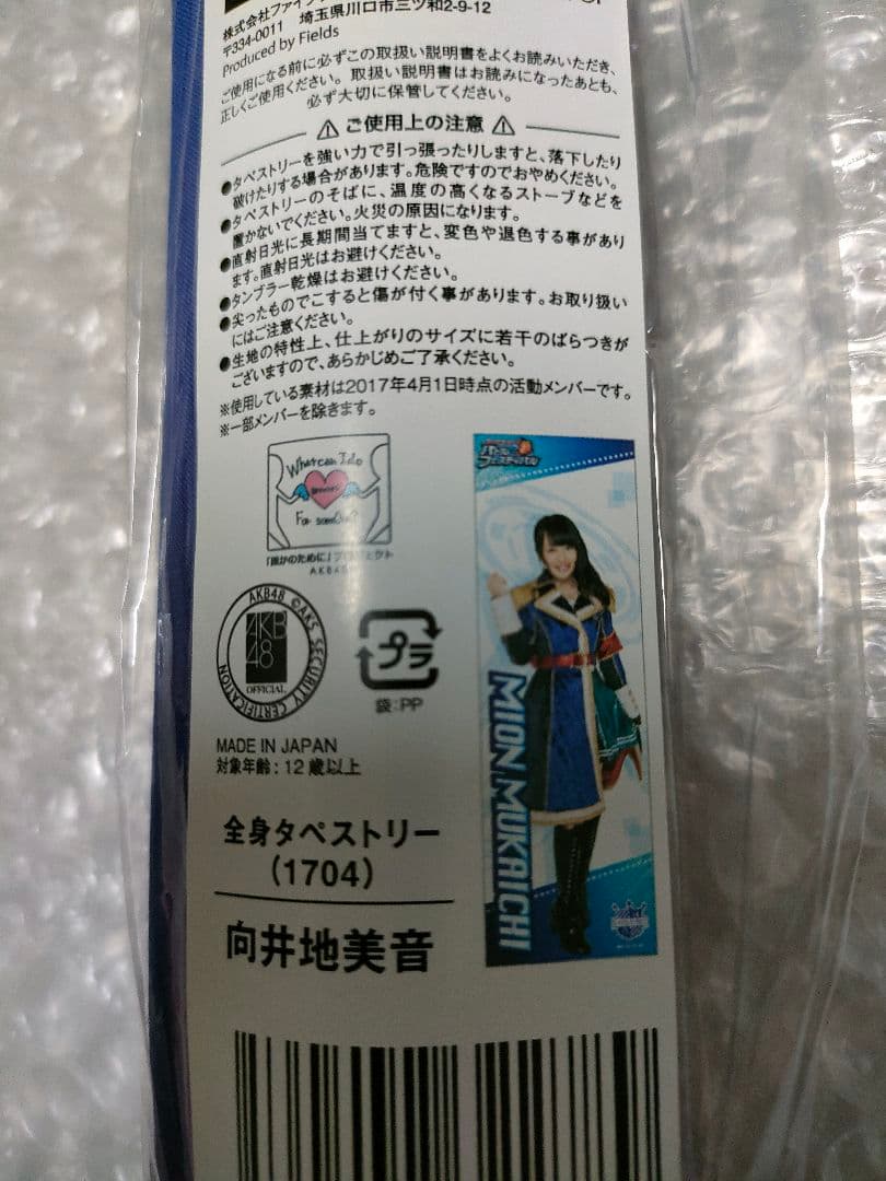 希少　向井地美音　全身タペストリー　バトフェス　バトルフェスティバル