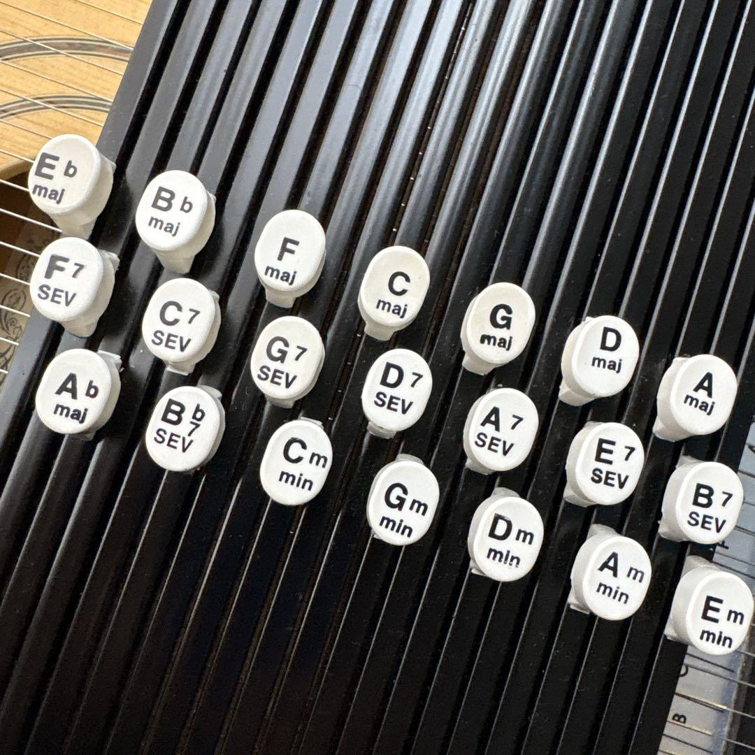 ARIA ACH-210S オートハープ コードハープ ケース 備品付き