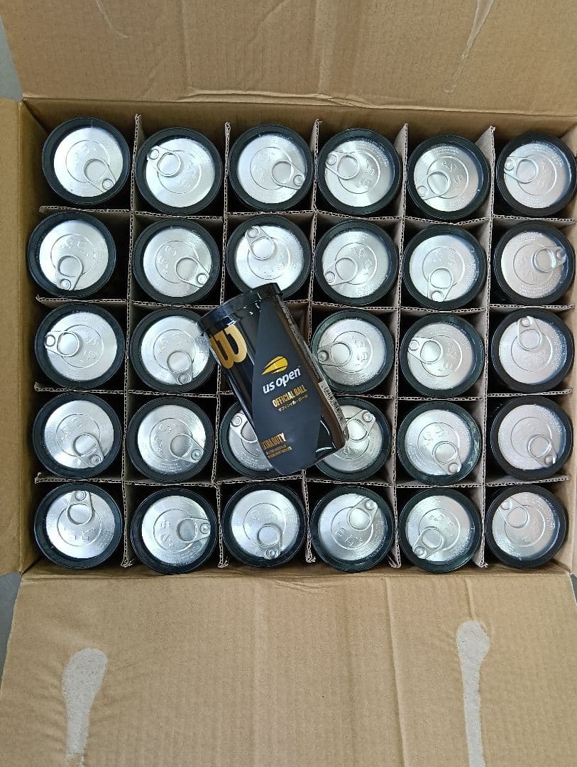 Wilson テニスボール エクストラ デューティ Extra Duty　60球