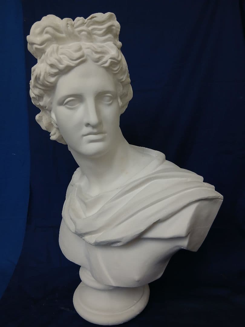 アポロ胸像。81cm