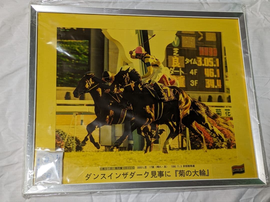 ダンスインザダーク　武豊　菊花賞　競走馬　写真パネル　額縁入り　スポーツ新聞付き