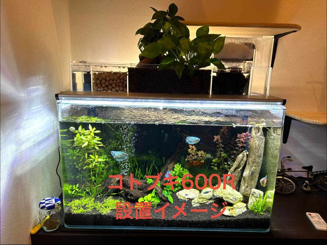 【訳あり】60㎝水槽用　上部濾過式アクアリウム水槽アクアポニックス仕様B