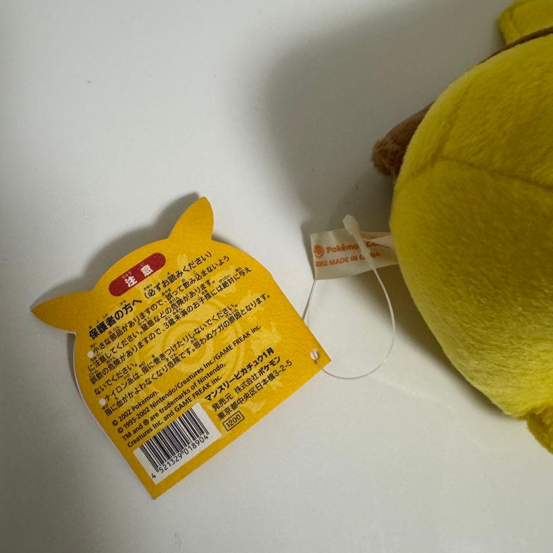 ポケモン　ポケットモンスター　 マンスリーピカチュウ2002年1月