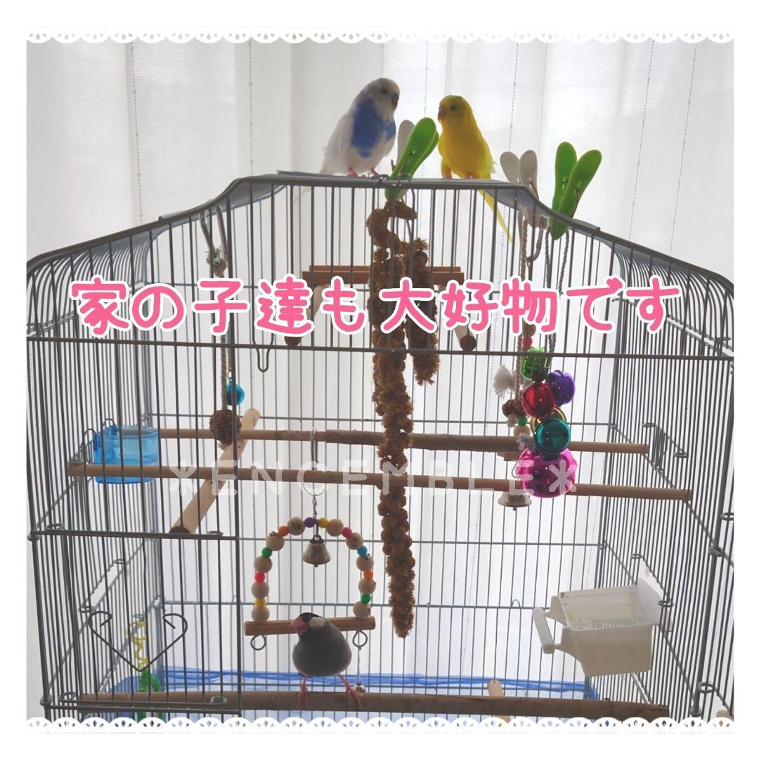 オーダー専用 農家さん直入【北海道産】粟の穂 300g 無農薬