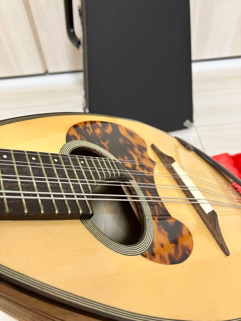 石川捷二郎監修 Venezia マンドリン M-50 木曽鈴木バイオリン社