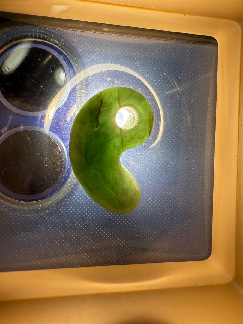 糸魚川産‼️勾玉‼️ご覧の通り説明不要の上クラス‼️青海の濃緑色ヒスイ‼️ロウカン‼️