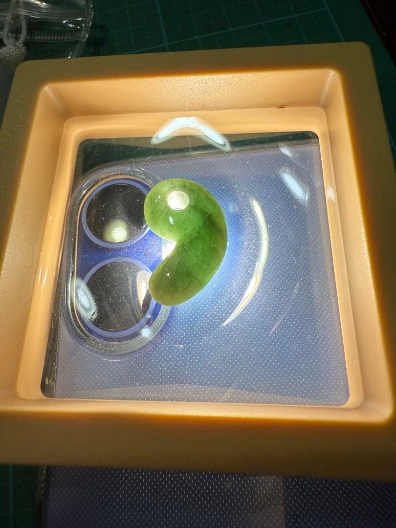 糸魚川産‼️勾玉‼️ご覧の通り説明不要の上クラス‼️青海の濃緑色ヒスイ‼️ロウカン‼️