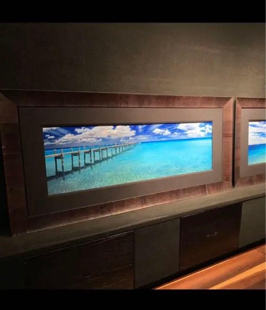 ピーターリック　Mid summer dream フロリダ