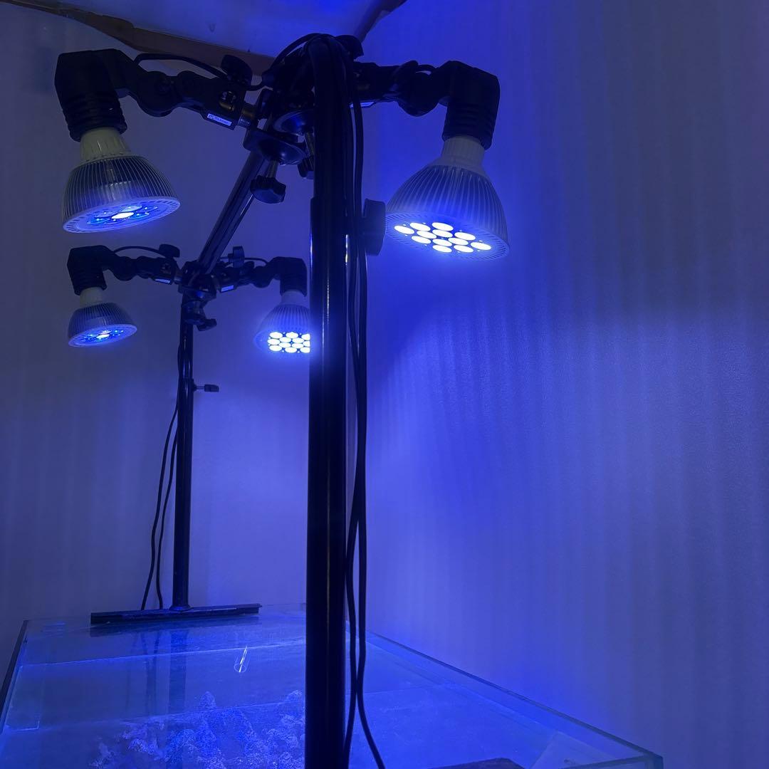 引き取り限定 90cm オーバーフロー水槽