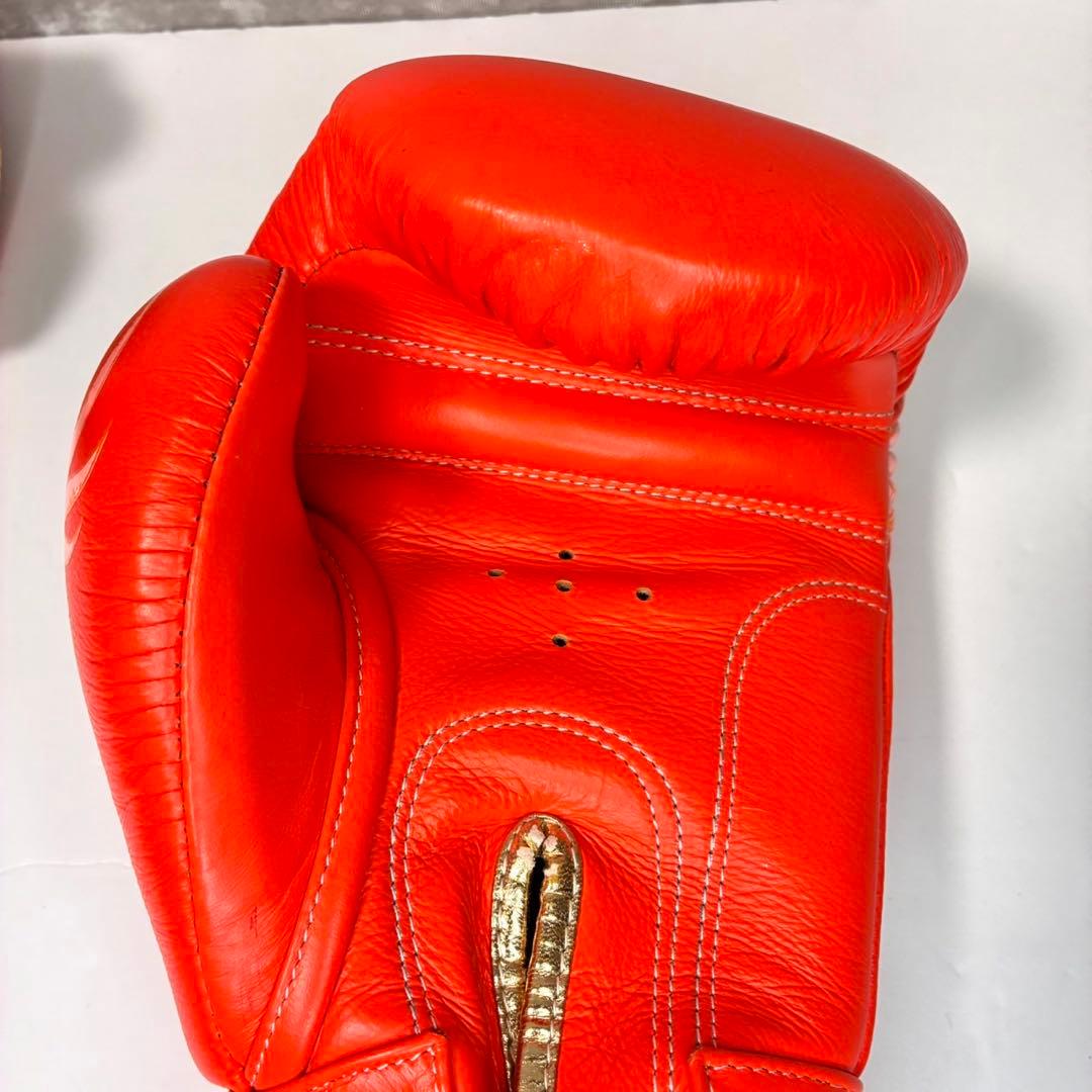 Raja Boxing 本革製 マジックテープ式 14oz ボクシンググローブ