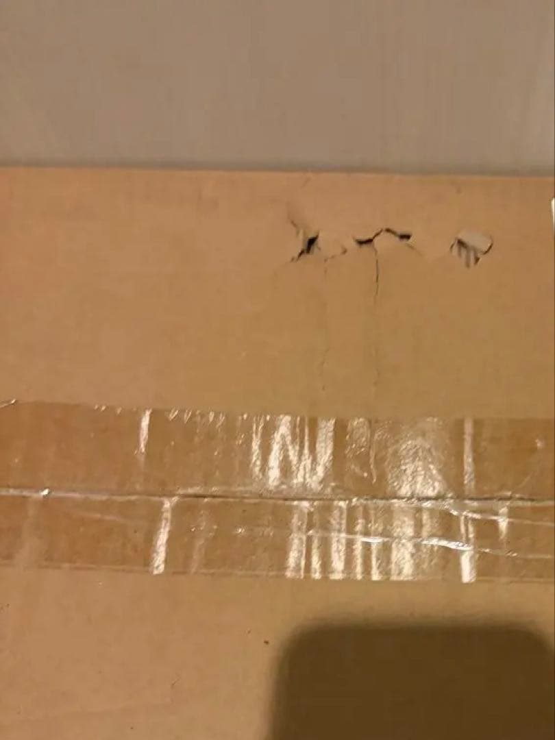 【新品未開封】DELSEY PARIS ダークグリーン キャリーケース 38L