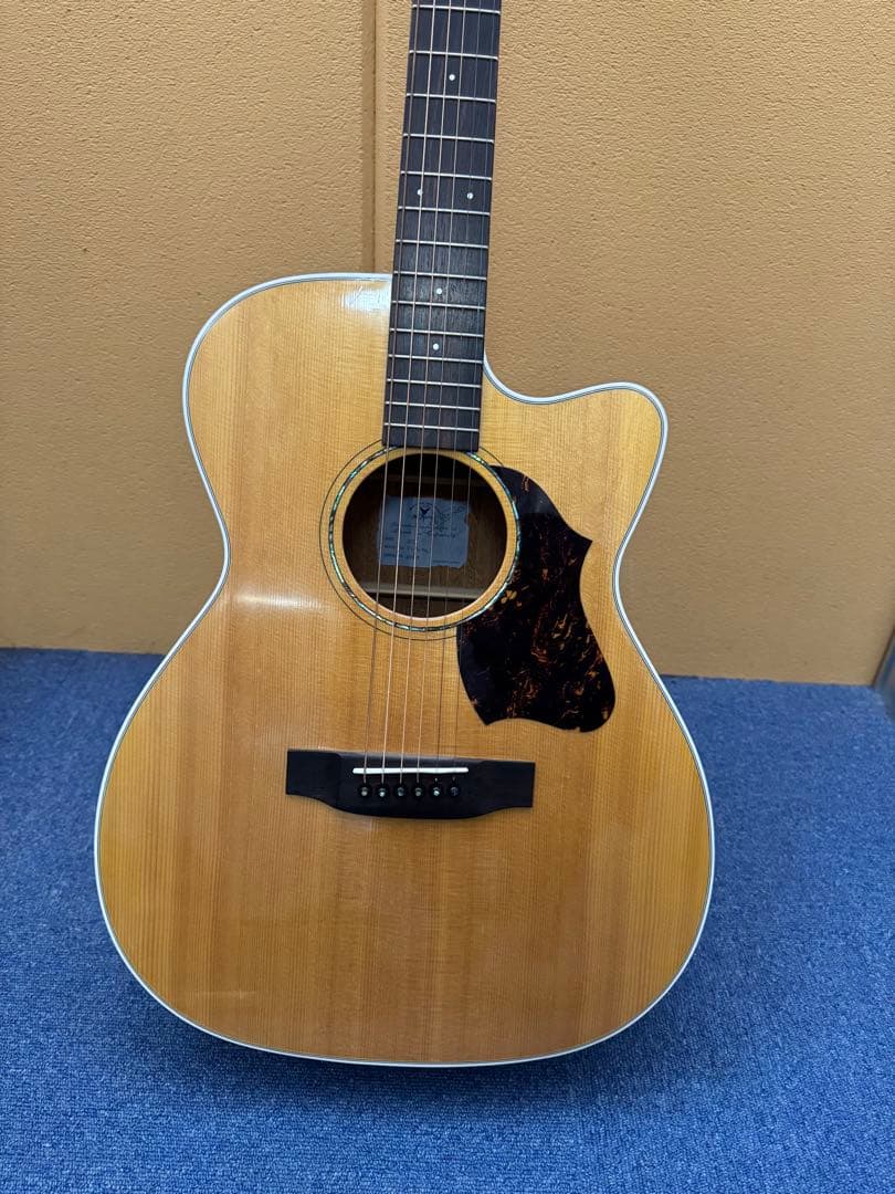 ギター K.Yairi VINCENT VF-9c