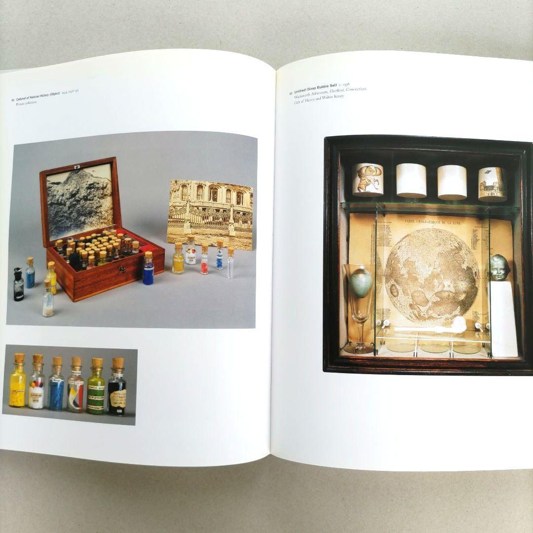 Joseph Cornell/Marcel Duchamp 作品集 アート 洋書