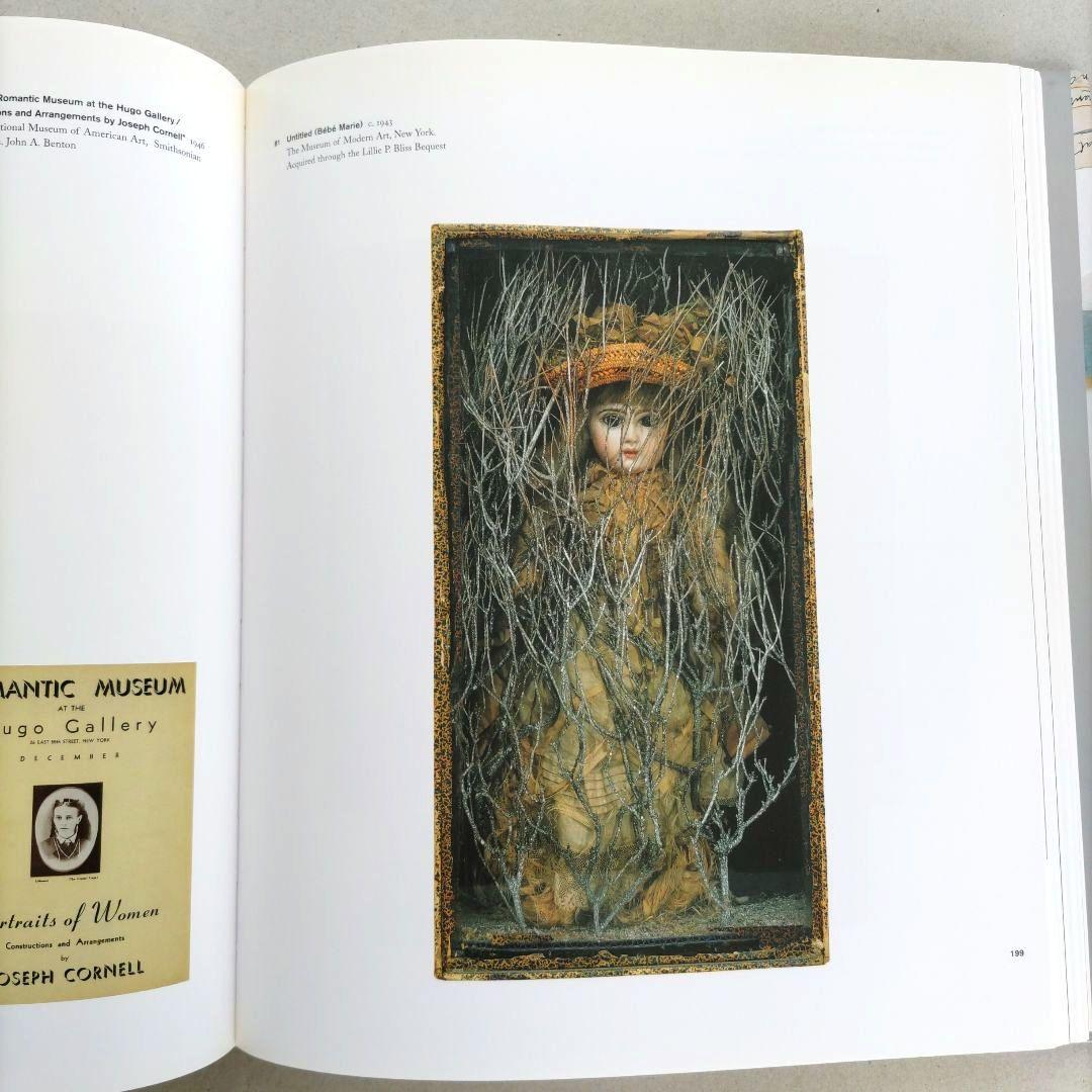 Joseph Cornell/Marcel Duchamp 作品集 アート 洋書