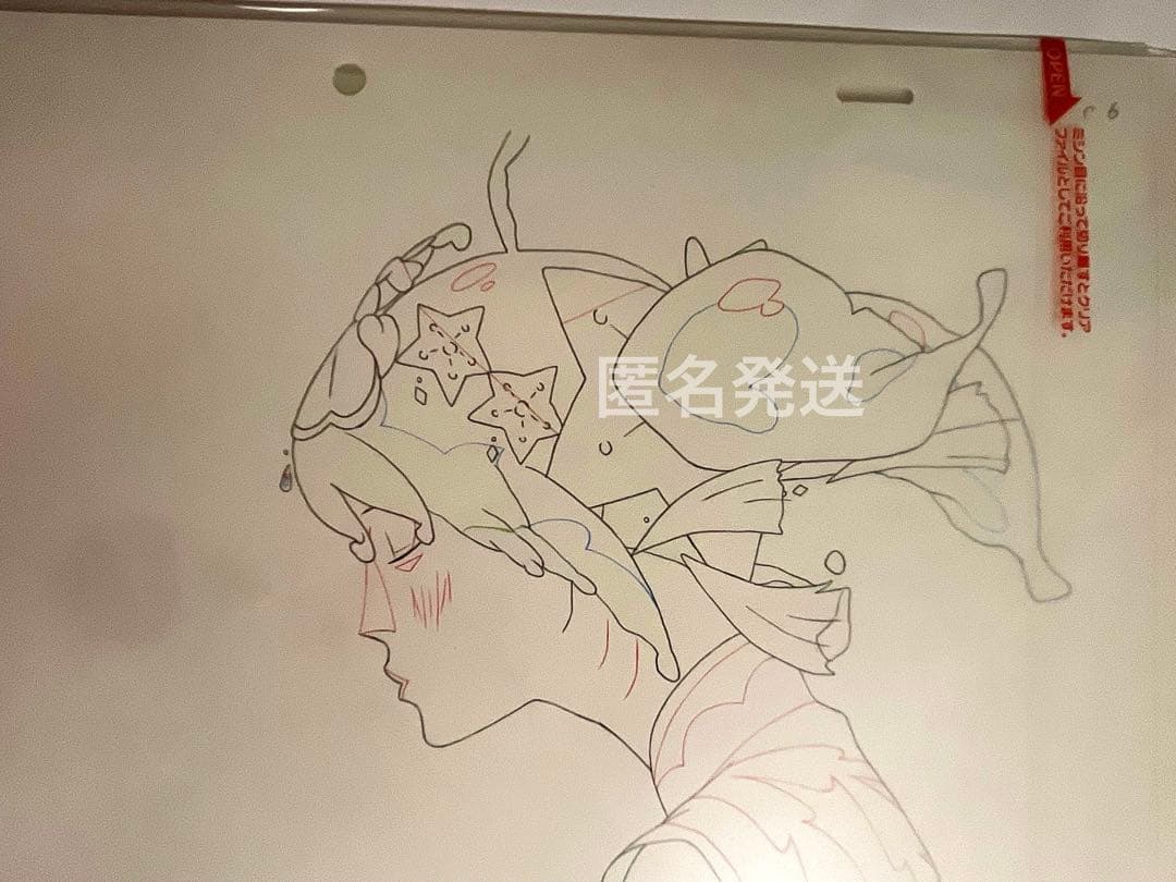 結婚式誓いのキスシーン　ChaO　チャオ　入場特典　生・動画　本編使用素材　原画